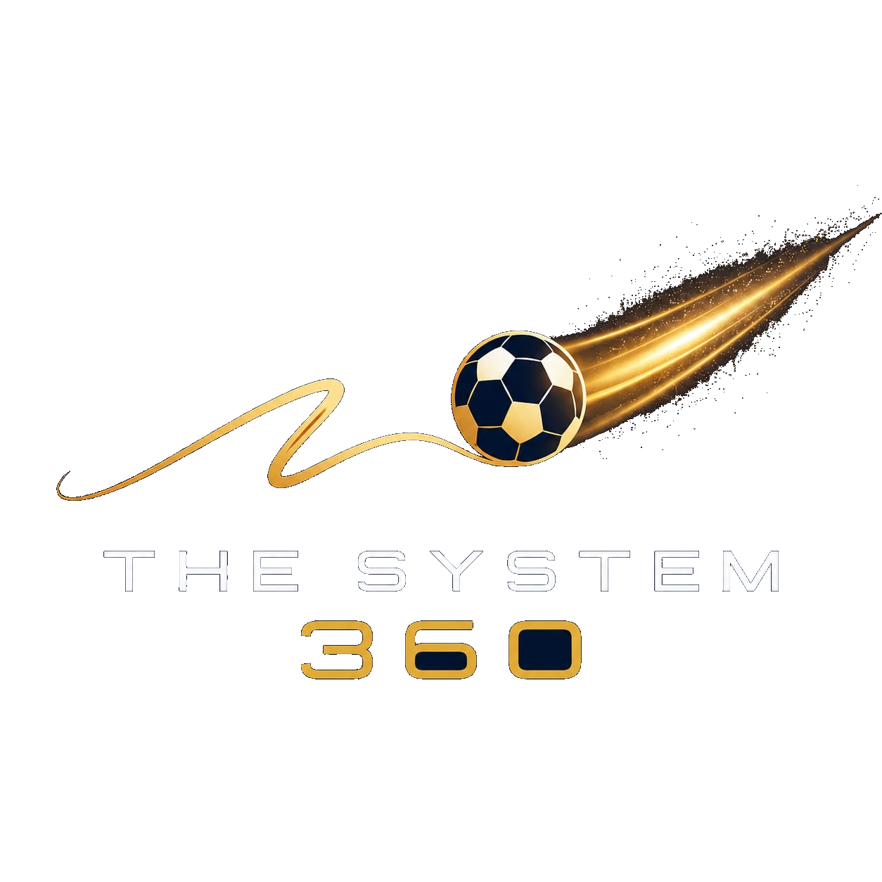 THE SYSTEM 360